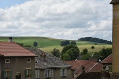 DSC_0345