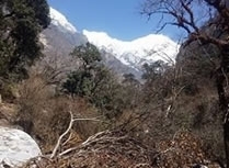 20180310 (7)