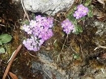 20180314 (8)