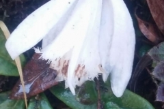 20180329 (2)