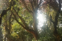 20180329 (3)