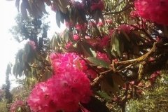 20180329 (9)
