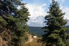 nepal20181031 (18)