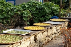 nepal20181031 (30)