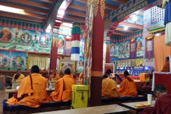 nepal20181031 (5)