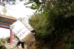 nepal20181103 (10)