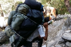 nepal20181103 (12)