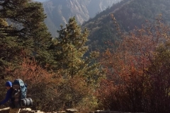 Nepal20181117 (2)
