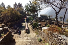 Nepal20181117 (5)