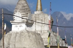 Nepal20181117 (9)