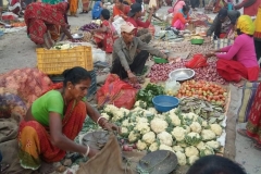 Nepal20181129 (8)