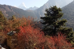 nepal20181116 (10)