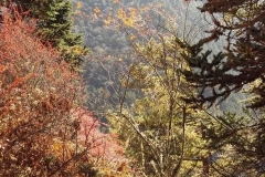 nepal20181116 (9)